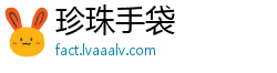 珍珠手袋